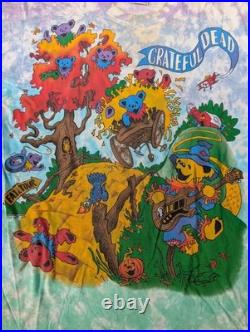 Authentic Grateful Dead 1993 Rise and Fall Tour Single-Stitch Tie-Dye Shirt, Lrg