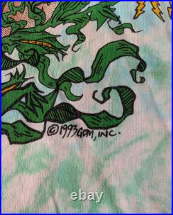 Authentic Grateful Dead 1993 Rise and Fall Tour Single-Stitch Tie-Dye Shirt, Lrg