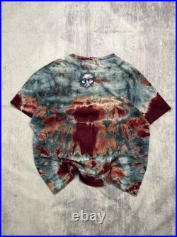 Grateful Dead Richard Biffle 90s Vintage Arti Tye Dye T-Shirt XL, Art Band Tee