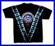 Grateful_Dead_Shirt_T_Shirt_1994_Pinwheel_Roses_SYF_Tie_Dye_DuBois_2000_s_GDP_M_01_tjtp