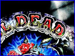 Grateful Dead Shirt T Shirt 1994 Pinwheel Roses SYF Tie Dye DuBois 2000's GDP M