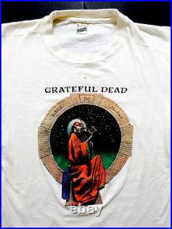 Grateful Dead Shirt T Shirt Vintage 1987 Blues For Allah Fiddler Garris Art GD L
