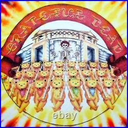 Grateful Dead Shirt T Shirt Vintage 1994 Chicago Soldier Field 7/23/94 7/24/94 L