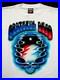 Grateful_Dead_Shirt_T_Shirt_Vintage_1994_Steal_Your_Face_Graffiti_Paint_GD_GDM_L_01_kd