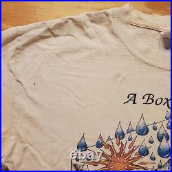 VINTAGE The Grateful Dead T-Shirt A BOX OF RAIN WILL EASE THE PAIN Rare OG