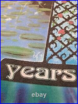 Vintage 1995 Grateful Dead 30 year Richard Biffle T-Shirt XL Tie Dye EUC