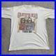 Vintage_80s_1989_Grateful_Dead_American_Gothic_Dead_Tour_Tshirt_Sz_XL_01_ra