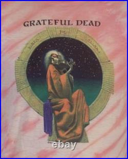 Vintage 80s single stitch Grateful Dead 1987 Blues for Allah T-Shirt Concert XL