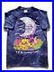Vintage_90s_1995_Grateful_Dead_Till_the_Morning_Comes_Band_T_Shirt_L_01_pdic