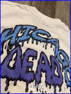 Vintage 90s Grateful Dead Chicago Dead Ice Cream 1990 Size L Rare Liquid Blue