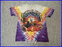 Vintage 90s Grateful Dead Fall Tour Band Tie Dye Shirt L Retro Hippy Skeleton